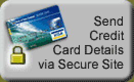 Send Credit Card Details via Secure Page